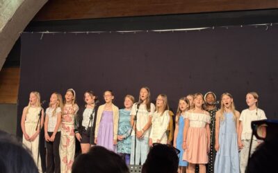 “FESTIVALAC” RAZVESELIO MNOGOBROJNU PUBLIKU