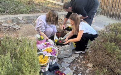 VIŠE CVIJEĆA, MANJE SMEĆA